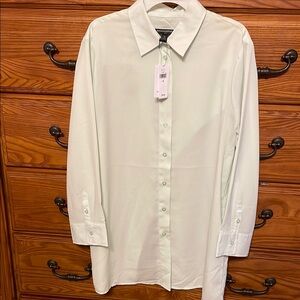 Banana Republic Light Green Dress Shirt